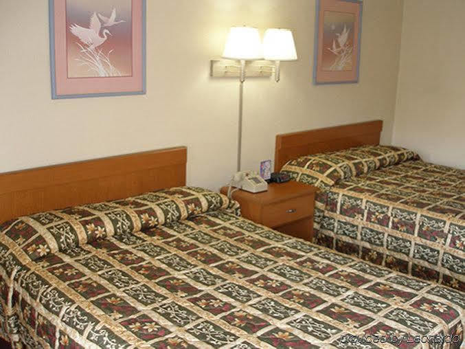 Rodeway Inn St Augustine Historic District セント・オーガスティン 部屋 写真